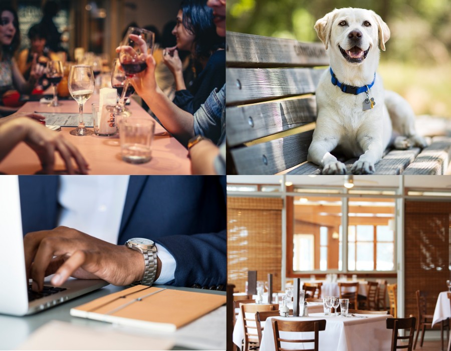 Licenses for Restaurant, Pets, Business 