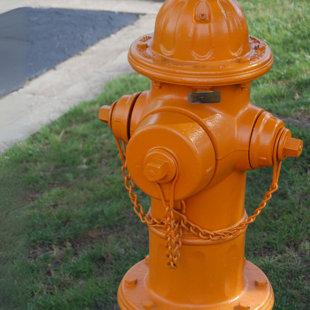 Orange Hydrant