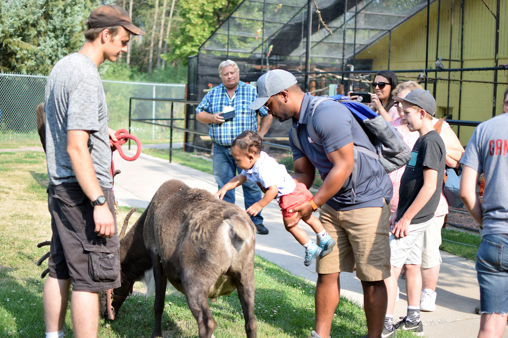 Willow Park Zootah - Petting the reindeer