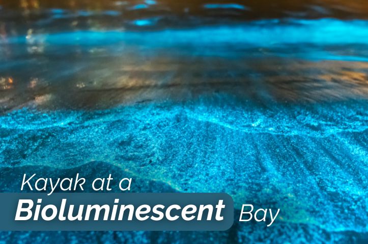 Kayak at a Bioluminescent Bay, Puerto Rico