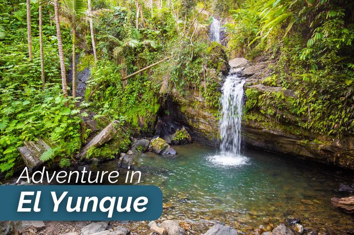 Adventure in El Yunque National Forest, Puerto Rico