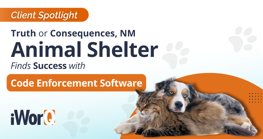 Featured image for “Animal Shelter Finds Success with Code Enforcement Software”